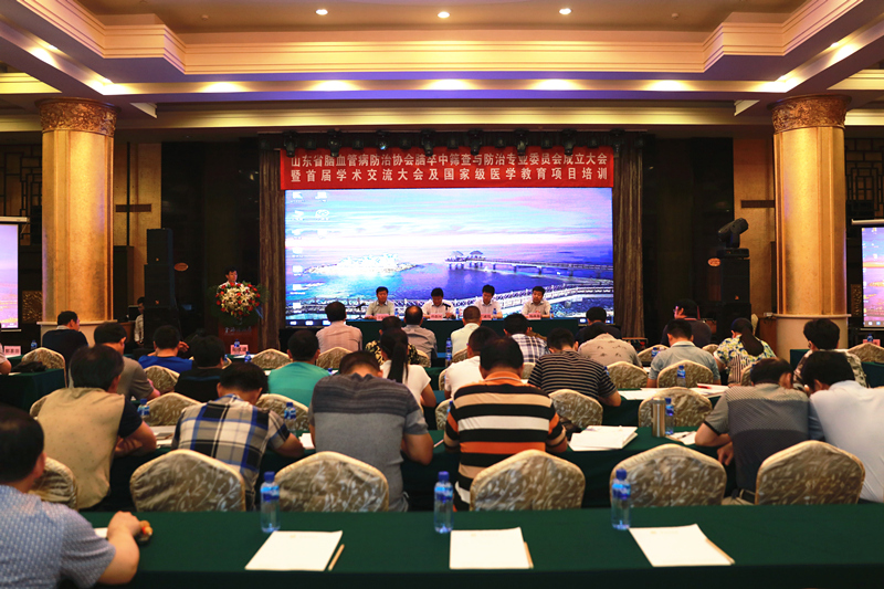 山东省脑血管病防治协会脑卒中筛查与防治专业委员会成立