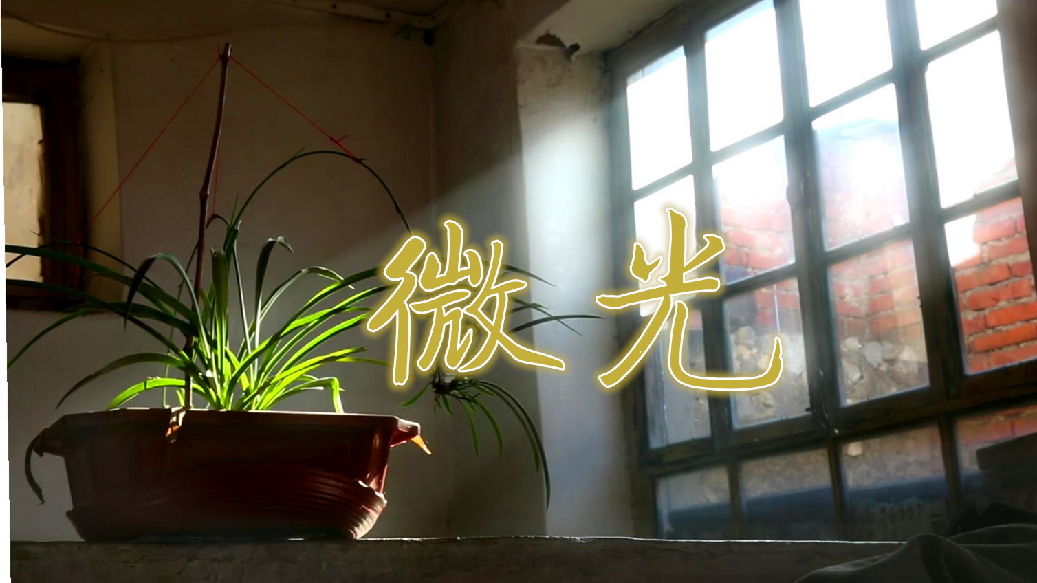 最真的故事,最暖的微光,这份善心需要你的支持
