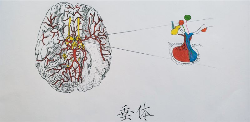 1623889736576485.jpg fig.1.jpg
