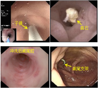 1762842173740546.png image001.png