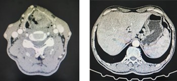 1764660433908553.jpg 图片5.jpg